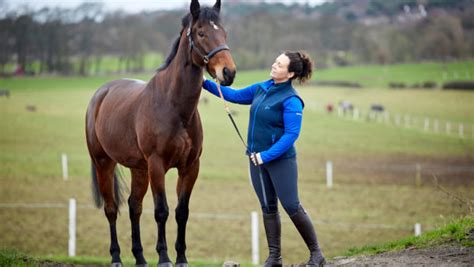 miles westwood horse dealer reviews  Turlood Stables - The largest and most reputable providers of horses and ponies in Scotland